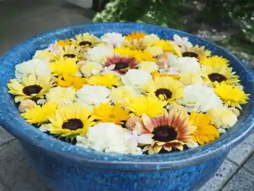 行田八幡神社(埼玉県)