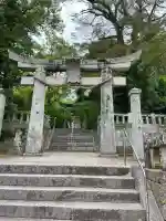 矢上神社の{uncategorized: "未分類", other: "その他", undefined: "問題あり", building: "その他建物", grave: "お墓", sacred_gate: "鳥居", guardian: "狛犬", statue: "像", buddha: "仏像", history: "歴史", nature: "自然", garden: "庭園", animal: "動物", pagoda: "塔", temizu: "手水舎", mountain_gate: "山門・神門", sanctuary: "本殿・本堂", subordinate: "末社・摂社", art: "芸術", scenery: "景色", jizo: "地蔵", ema: "絵馬", goshuin: "御朱印", omikuji: "おみくじ", items: "授与品その他", amulet: "お守り", goshuincho: "御朱印帳", eats: "食事", festival: "お祭り", votive_dance: "神楽", shichigosan: "七五三参", wedding: "結婚式", experience: "体験その他", initially: "初詣", around: "周辺", anti_infection: "感染症対策"}