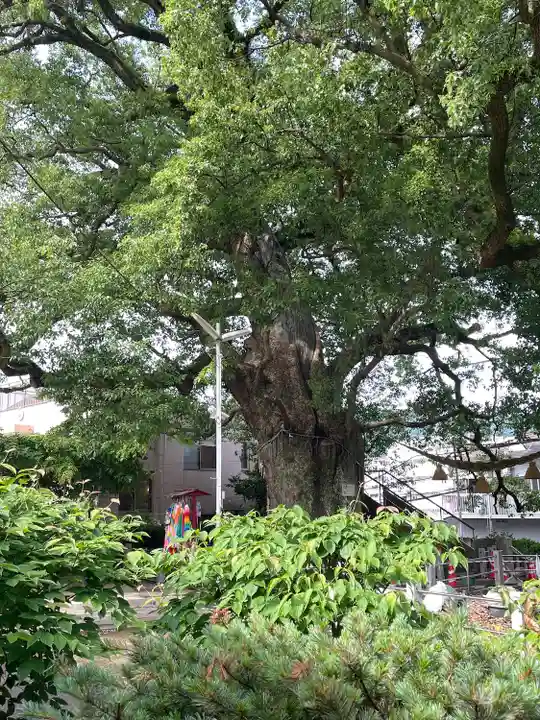 山王神社の自然