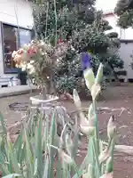 伏木香取神社の自然