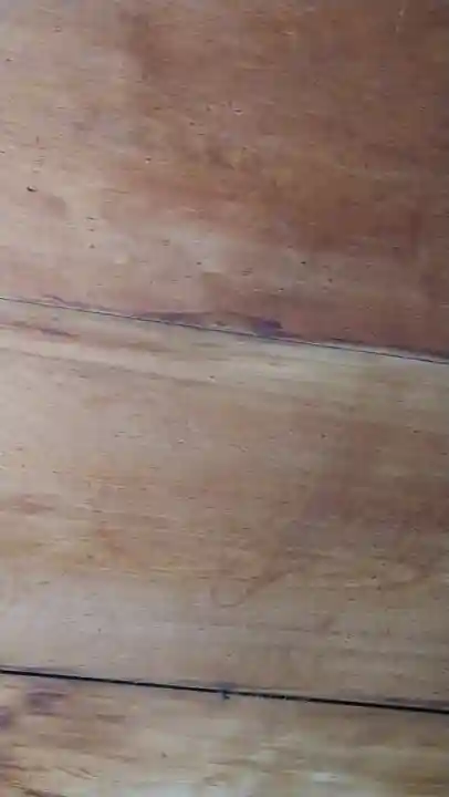 宝泉院(京都府)