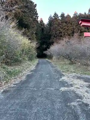 矢背負稲荷神社(群馬県)