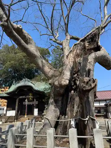 阿邪訶根神社(福島県)