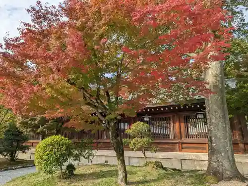 橿原神宮の自然