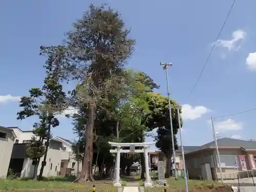 香取神社の鳥居