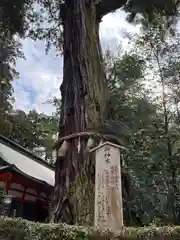 香取神宮(千葉県)