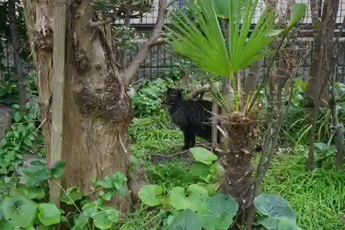 一宮神社の動物