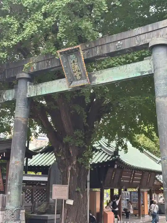 湯島天満宮(東京都)