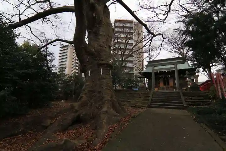 愛宕神社の本殿・本堂