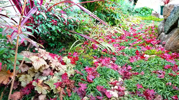 寿量山 速成寺の自然