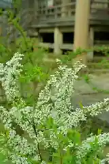 白山媛神社(新潟県)