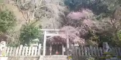 大豊神社の鳥居