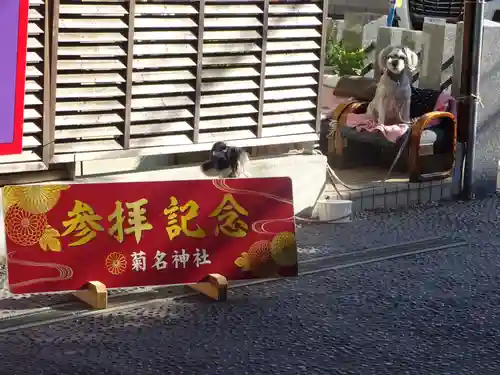 菊名神社の動物