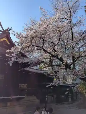 熊野神社(東京都)