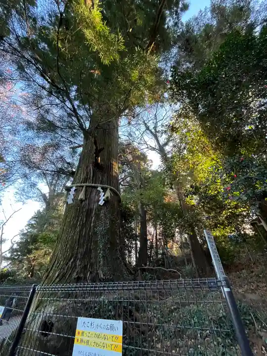 高尾山薬王院(東京都)