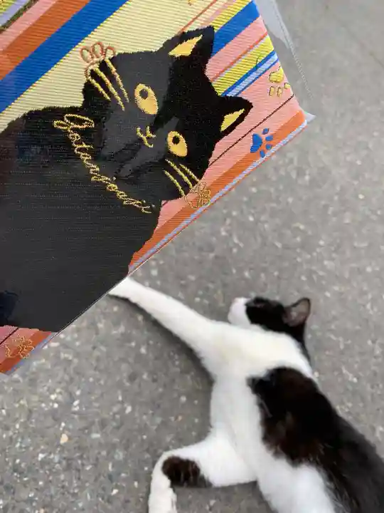 御誕生寺(猫寺)の動物
