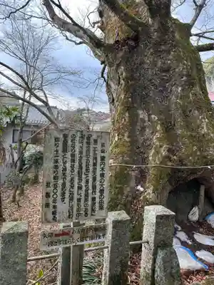 小夫天神社(奈良県)