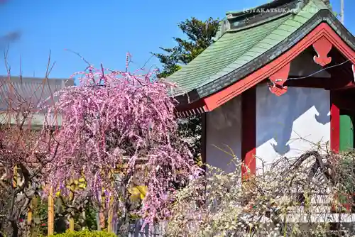 亀戸天神社(東京都)
