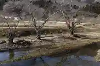 高司神社〜むすびの神の鎮まる社〜の景色