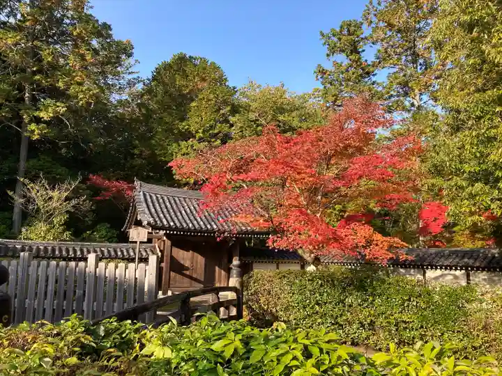 西芳寺(京都府)
