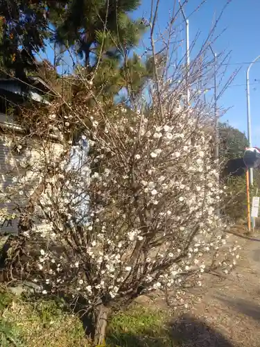 愛宕神社の自然