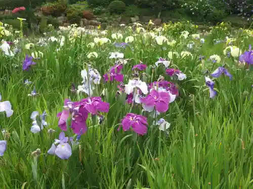 常盤神社(山口県)