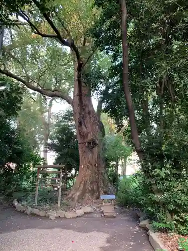 高座結御子神社（熱田神宮摂社）の自然