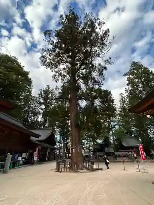 穂高神社本宮(長野県)
