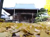 長慶寺の本殿・本堂