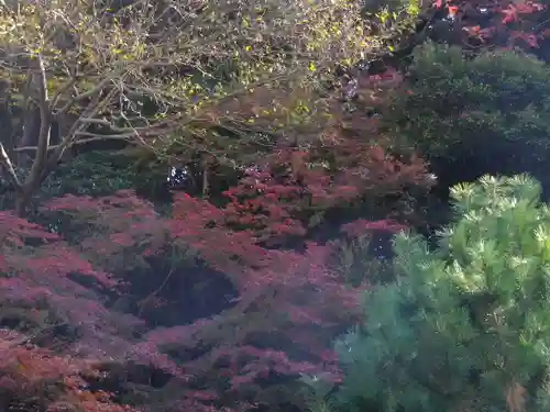 安國論寺（安国論寺）の景色