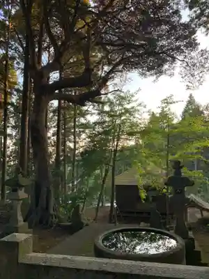 八幡神社(千葉県)