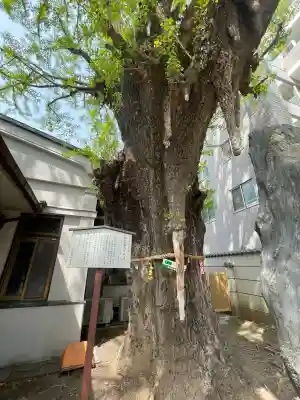 品川寺(東京都)