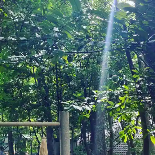 芦屋神社(兵庫県)