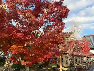  智積院(京都府)