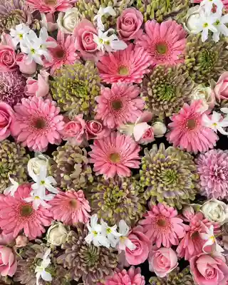 金峯神社(新潟県)