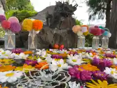 豊龍神社の手水