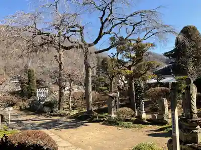菊水寺(埼玉県)