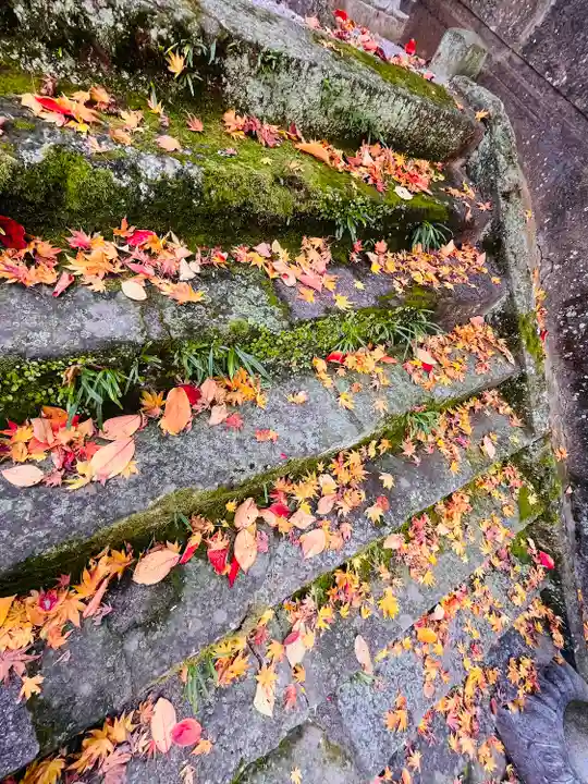 紅葉八幡宮(福岡県)