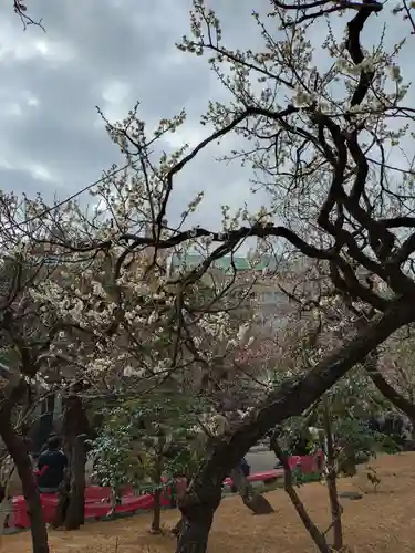 湯島天満宮(東京都)