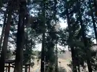 大宮温泉神社(栃木県)