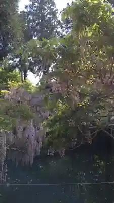 歌泉堂（春日大社神苑萬葉植物園内鎮座）(奈良県)