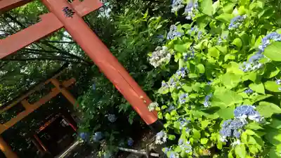 平野神社(京都府)