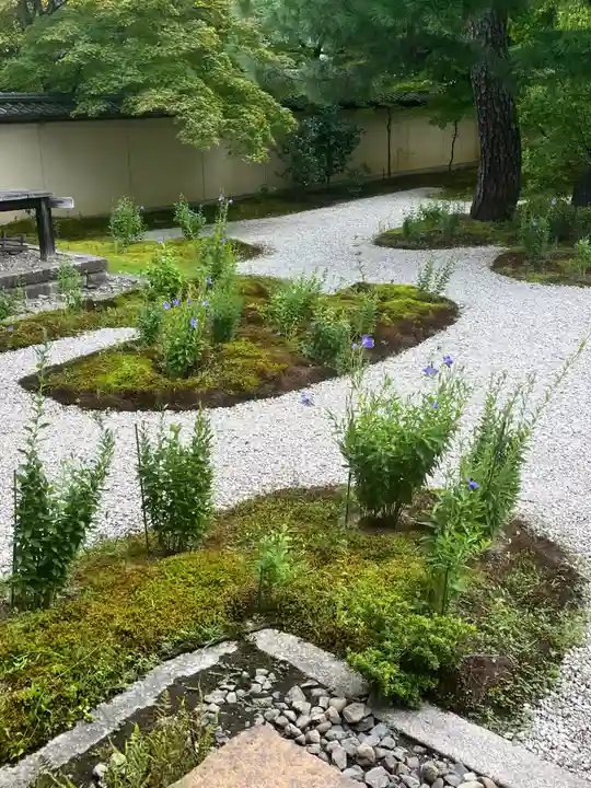 廬山寺(廬山天台講寺)(京都府)