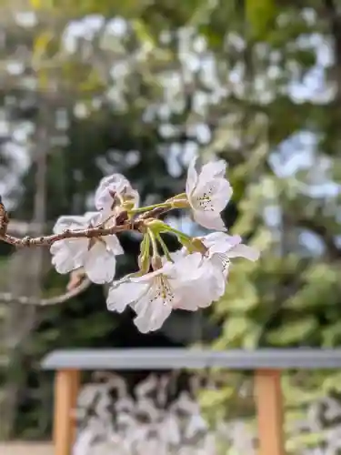 赤坂氷川神社(東京都)