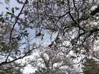 塩土恵美須神社(福井県)
