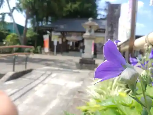 祖母井神社(栃木県)