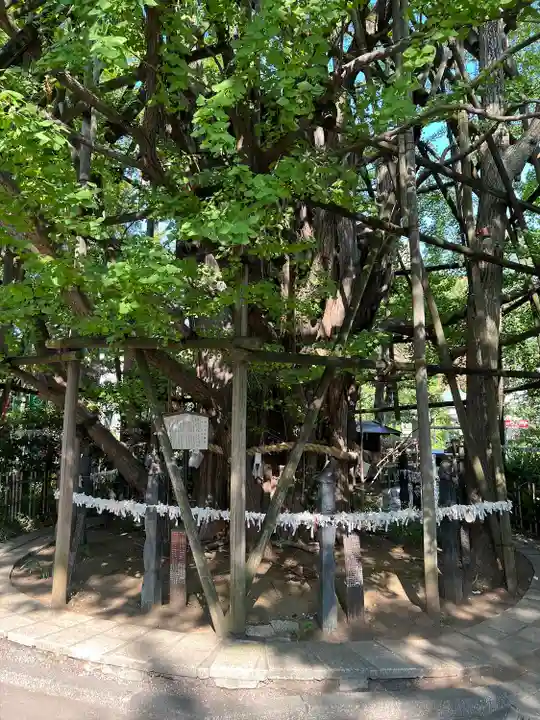稲毛神社(神奈川県)