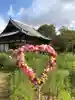 般若寺 ❁コスモス寺❁(奈良県)