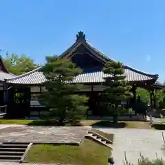 大覚寺(京都府)