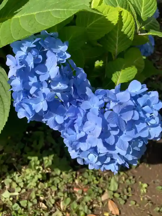 一之宮天満宮(梶原景時館跡)(神奈川県)